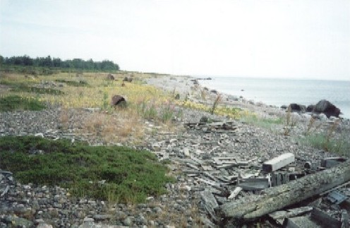 Aksi - Västra stranden med drivved och bojar